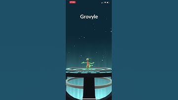 Evolve! A treecko in to a grovyle to a sceptile