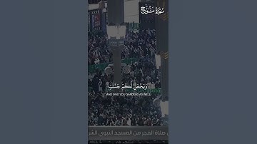 ما تيسر من سورة نوح | تلاوة فضيلة الشيخ د.#عبدالله_القرافي