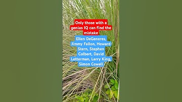 Only those with a genius IQ can find the mistake #shorts #iqtest #find #search