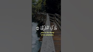 تلاوه مؤثره من سورة الصف #قرآن #اكسبلور #اسلام_صبحي #راحة_نفسية #تلاوات_خاشعة #قران #تلاوات #لايك