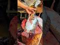 Amazon Big Tilapia Fish Cutting Video | Satisfying & Perfect Fish Filleting! #shorts #fishcutting