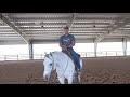 HOW TO NECK REIN YOUR HORSE