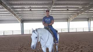 How To Neck Rein Your Horse