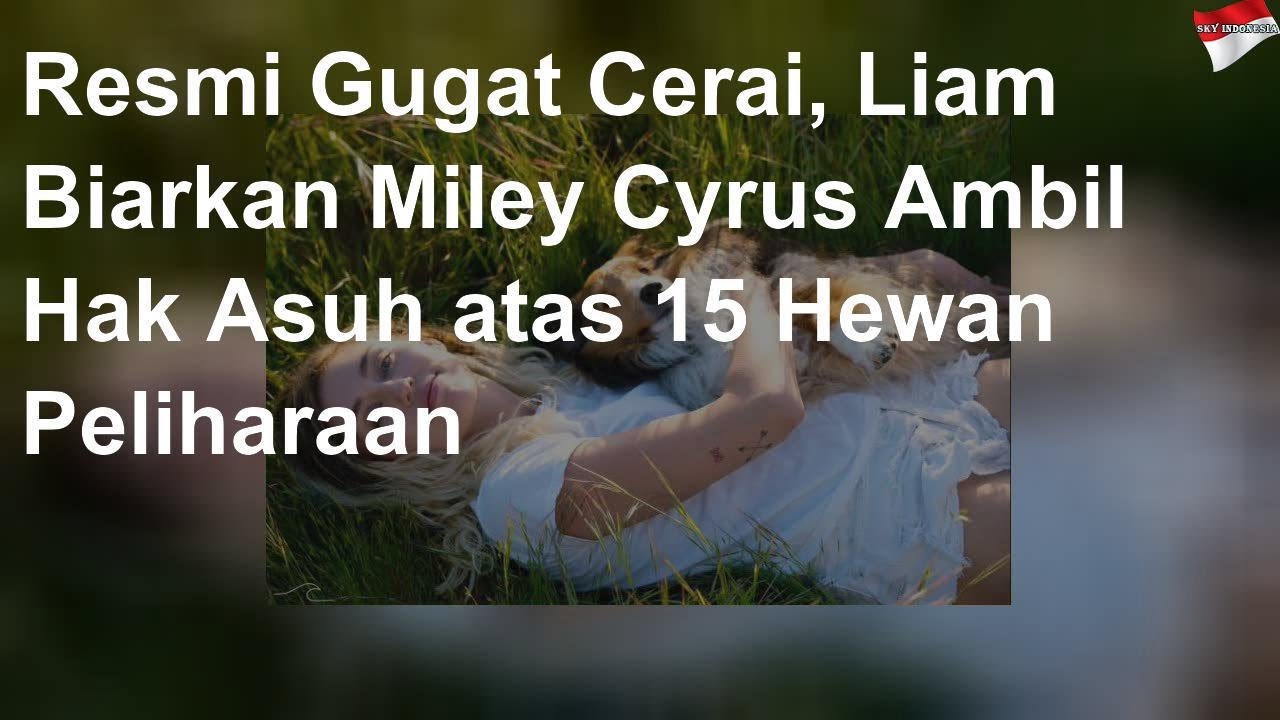 Liam Biarkan Miley Cyrus Ambil Hak  Asuh 15 Hewan  