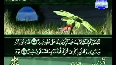 Saad al Ghamdi Surat Al Taghabun سعد الغامدي سورة التغابن 