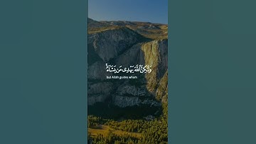 إنك لاتهدي من احببت#قرآن #كريم #تلاوه خاشع الشيخ ياسر الدوسري _❤❤❤❤❤❤
