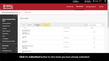 Checking Your Grades