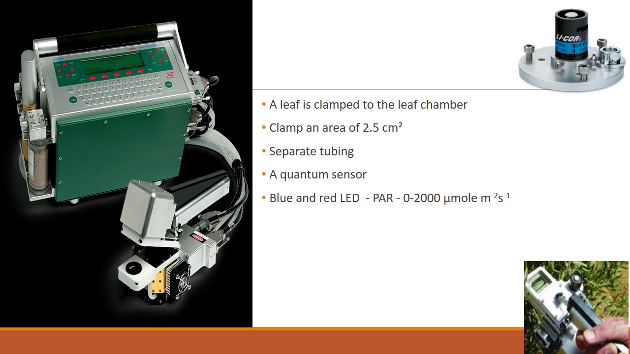 Estimation of photosynthesis using IRGA YouTube