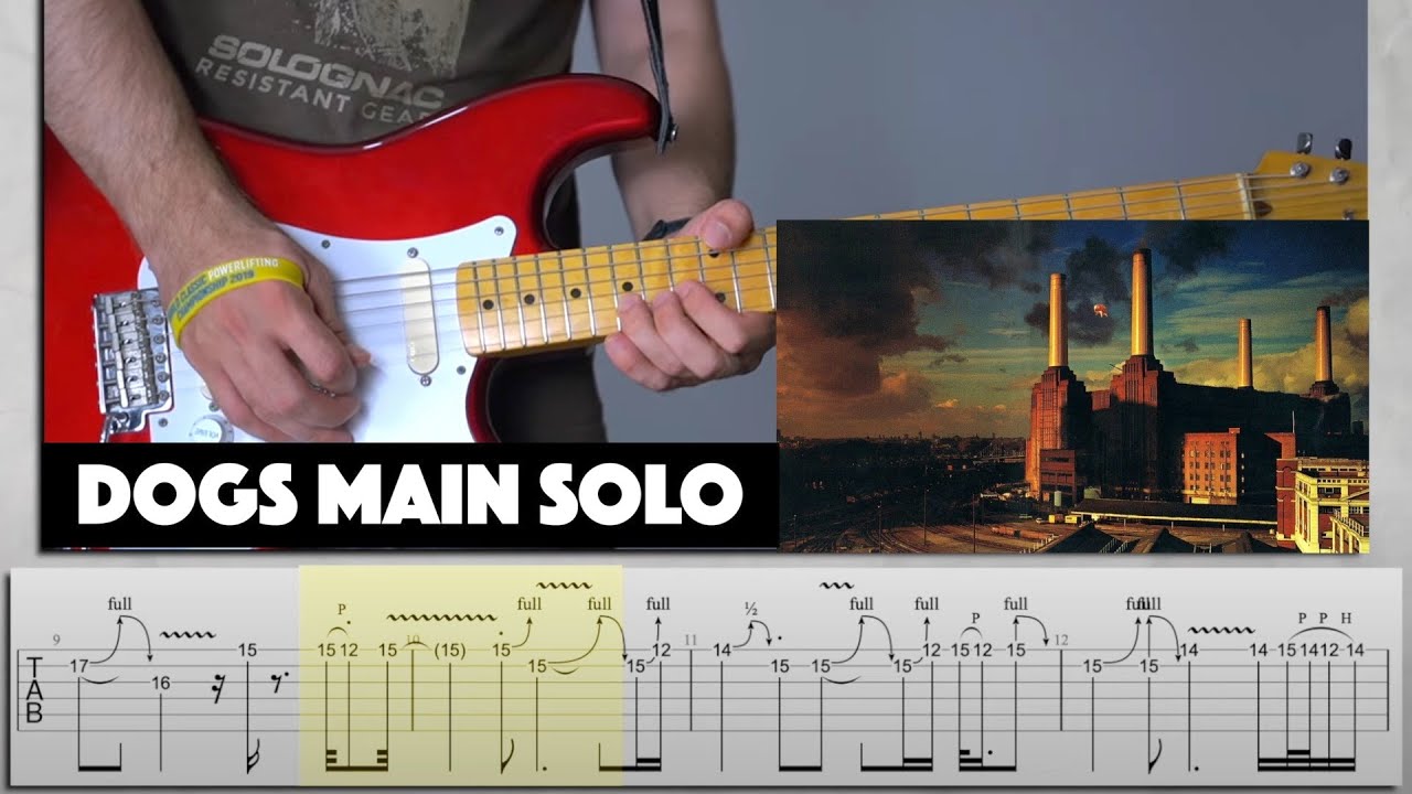 Pink Floyd - Dogs Solo Guitar Lesson + Tab