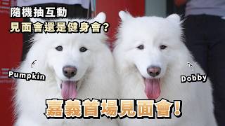Download Lagu 『嘉義首場見面會!』隨機抽互動,見面會還是健身會?(薩摩耶多比Dobby is free) MP3 Download Lagu 『嘉義首場見面會!』隨機抽互動,見面會還是健身會?(薩摩耶多比Dobby is free) MP3