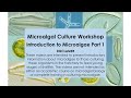 2 Microalgal Culture Workshop Introduction to Microalgae