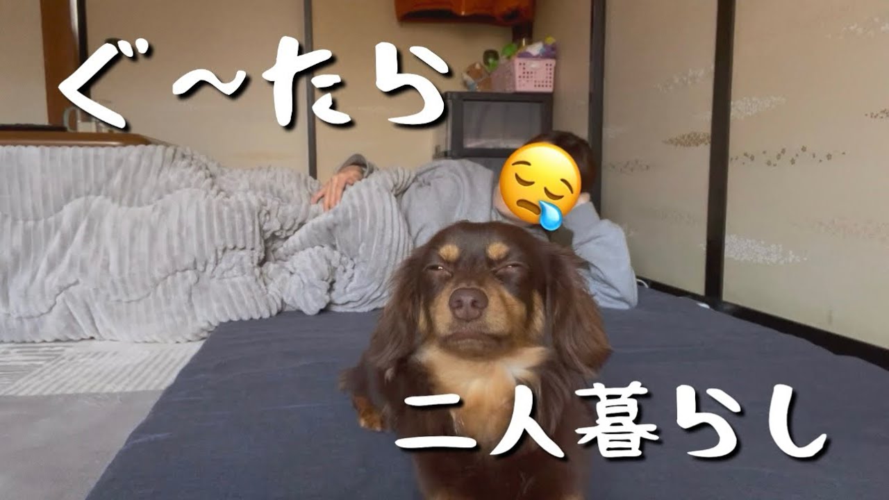 【だらけ過ぎ】ぐ〜たら二人暮らし🐶👩🏻