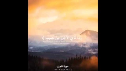 الله لطيف بعباده ، تلاوه خاشعة هادئه تريح القلب والعقل