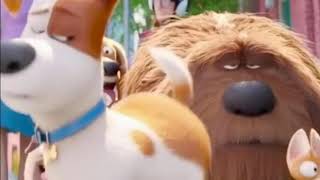 Secret Life Of Pets Max Shake