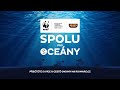 Spolu pro oceány | Holčička a oceán – nová dobrodružství | Rio Mare