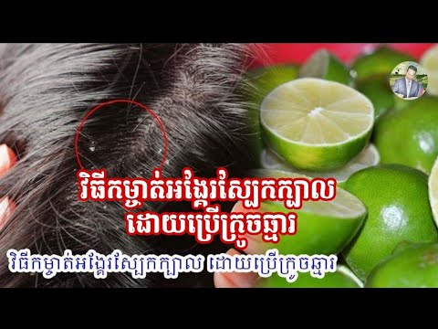 វិធី​កម្ចាត់​អង្គែរ​ស្បែកក្បាល​ ដោយប្រើ​ក្រូចឆ្មារ