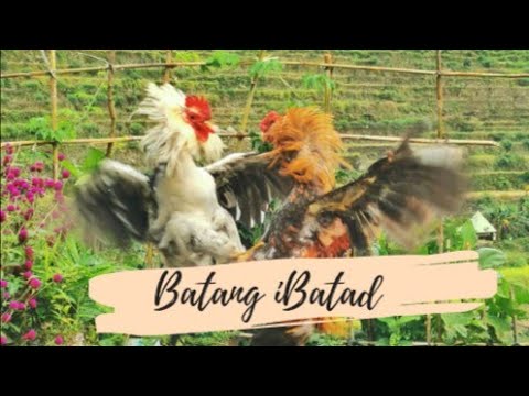 Kanlungan | Myrus & Princess Velasco | Batang 90's iBatad