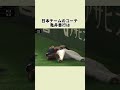【感動】国境も勝敗も超えた拍手 韓国選手がフェンスに激突した瞬間、日本コーチが最初に駆け寄った#wbc #野球 #プロ野球 #亀井善行 #日韓戦