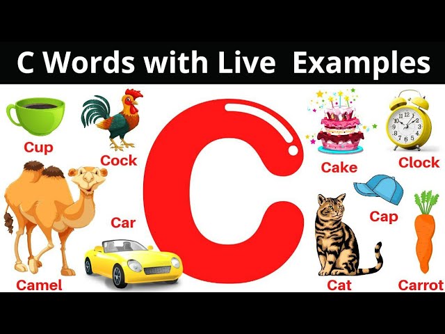 Words that start with B with live examples, Alphabet words