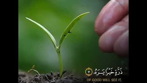 حالات واتس اب (سورة الزلزله )