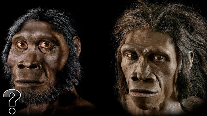 Did Humans Evolve From Apes? - DayDayNews