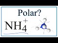 Ammonium Ion Properties and Behavior