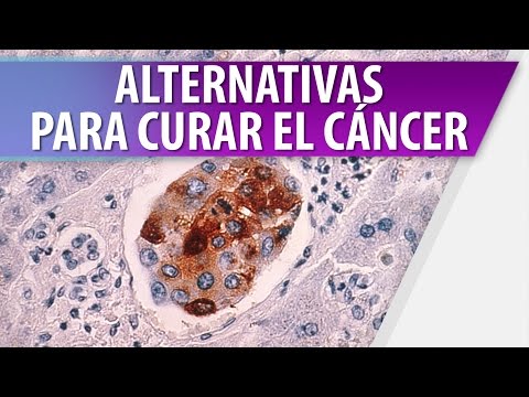 Vídeo: Quizás Se Encontró Accidentalmente Un Remedio Eficaz Para El Cáncer - Y Esto Es Malaria - Vista Alternativa