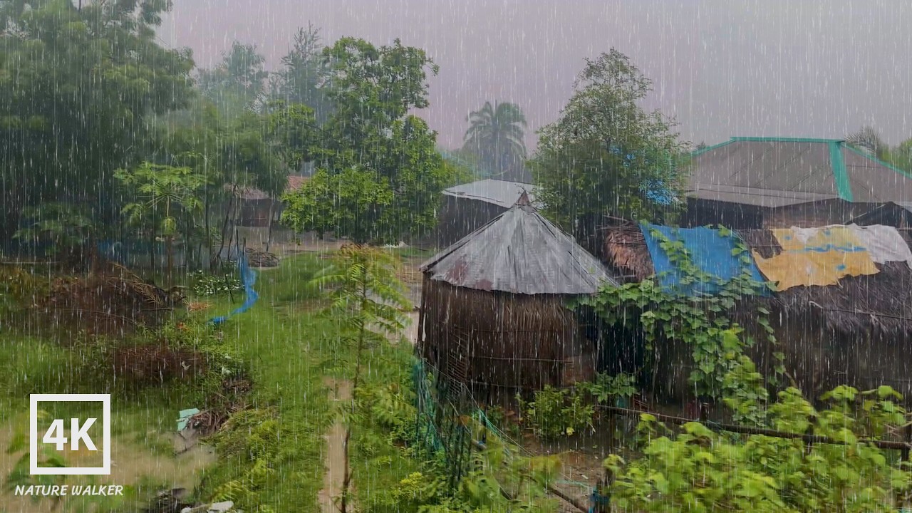 🌧️ Extreme Village Rainstorm Walk | Relaxing Nature Sounds for Sleep | Nature Walker