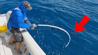 Offshore Saltwater Bottom Fishing For Whatever Bites In Florida