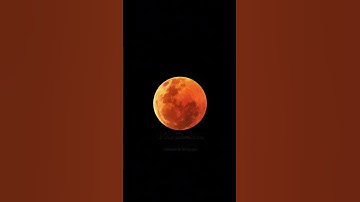 تلاوة خاشعة من سورة الإسراء بصوت الشيخ خالد الجليل