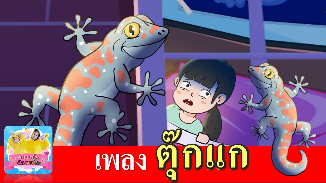 เพลงตุ๊กแก | เรียนรู้เรื่องสัตว์ ไปกับเพลงตุ๊กแก | เพลงเด็ก