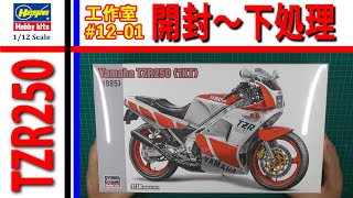 ハセガワ YAMAHA TZR250 (1KT) 開封～下処理 編 バイク