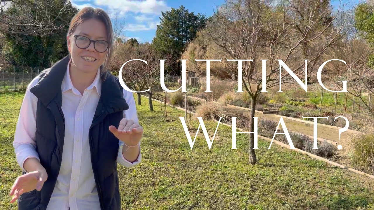 Как я обрезаю все свои фруктовые деревья зимой | Инжир, вишня, персик, яблоня и другие