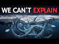This Creature Was Never Meant for Earth