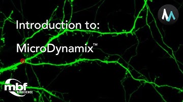 Introduction to MicroDynamix
