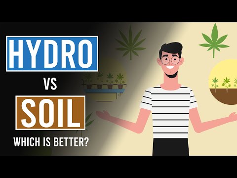 Video: Wat is het verschil tussen hydrocultuur en aarde?