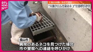 【注意呼びかけ】「六価クロム」の水槽に落ち“ネコ逃走”  いまだ見つからず  広島・福山市