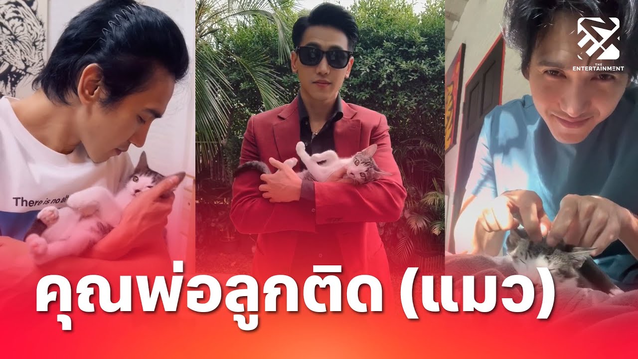 ทาสแมวเต็มตัว 