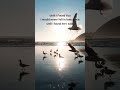 Until I Found You 🌊 | Dreamy Beach Sunset Vibes