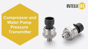 AP10 Compressor and Water Pump Pressure Transmitter / Sensor / Transducer - IntelliBee Sensor