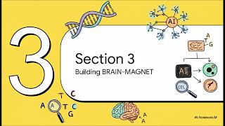 Celebrity Cracking the Code Wealth