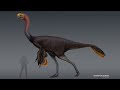 The Giant 'Egg Thief' - Gigantoraptor