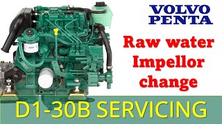Small boat engine servicing - How to change the raw water impellor