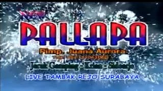 New pallapa live tambak Rejo Surabaya
