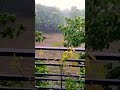 #rain #weather #beauty