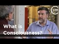 Michael Graziano - What is Consciousness?