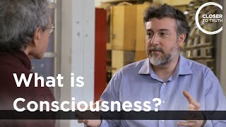 Michael Graziano  What is Consciousness?