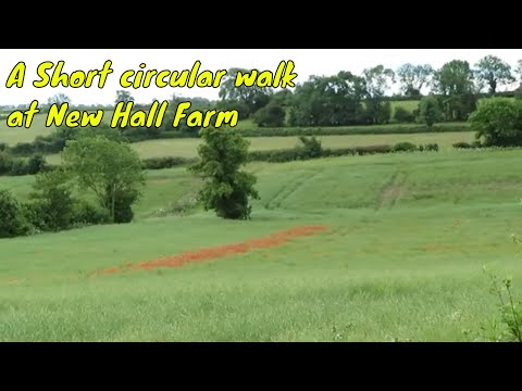 Experience An Unforgettable Summer Stroll At New Hall Farm!