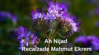 Ah Nijad Şiiri, Recaizade Mahmut Ekrem