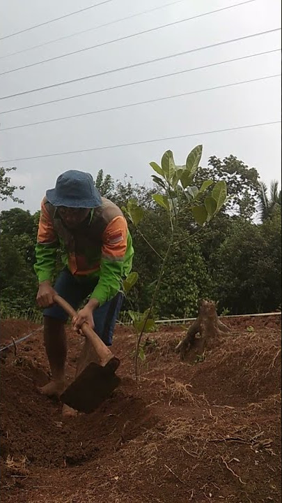 ayo kerja kerja.
